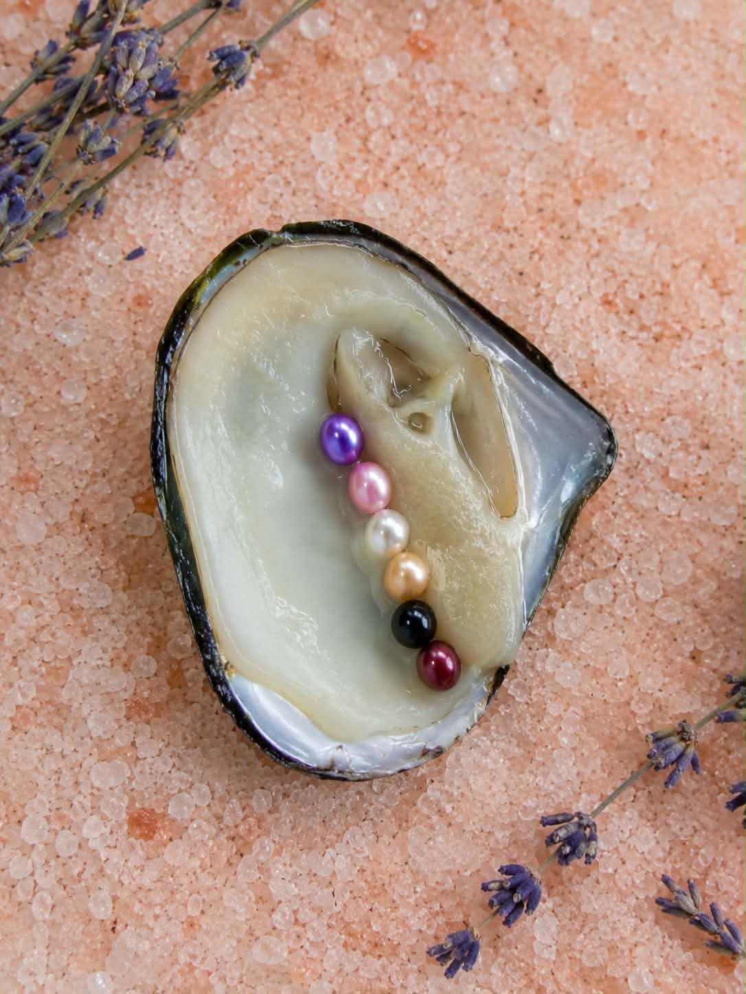 1 Oyster Six Pearls - Oyster Opening