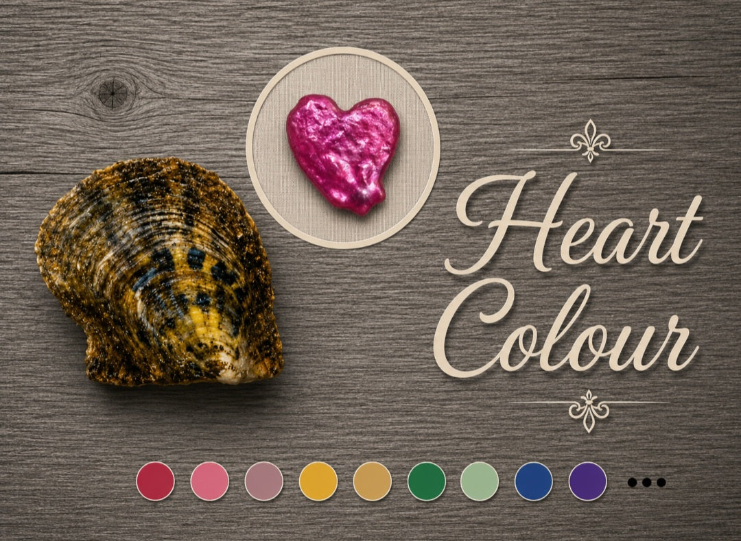 Heart Shaped Colour Pearl Oyster