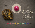 Edison Coloured Pearl in Oyster