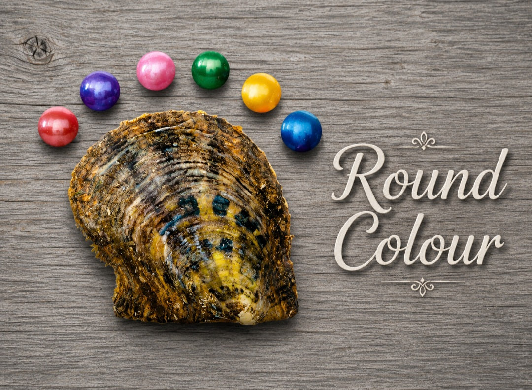 Single Coloured Round Pearl Oyster