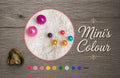 Mini Coloured Pearl Oyster
