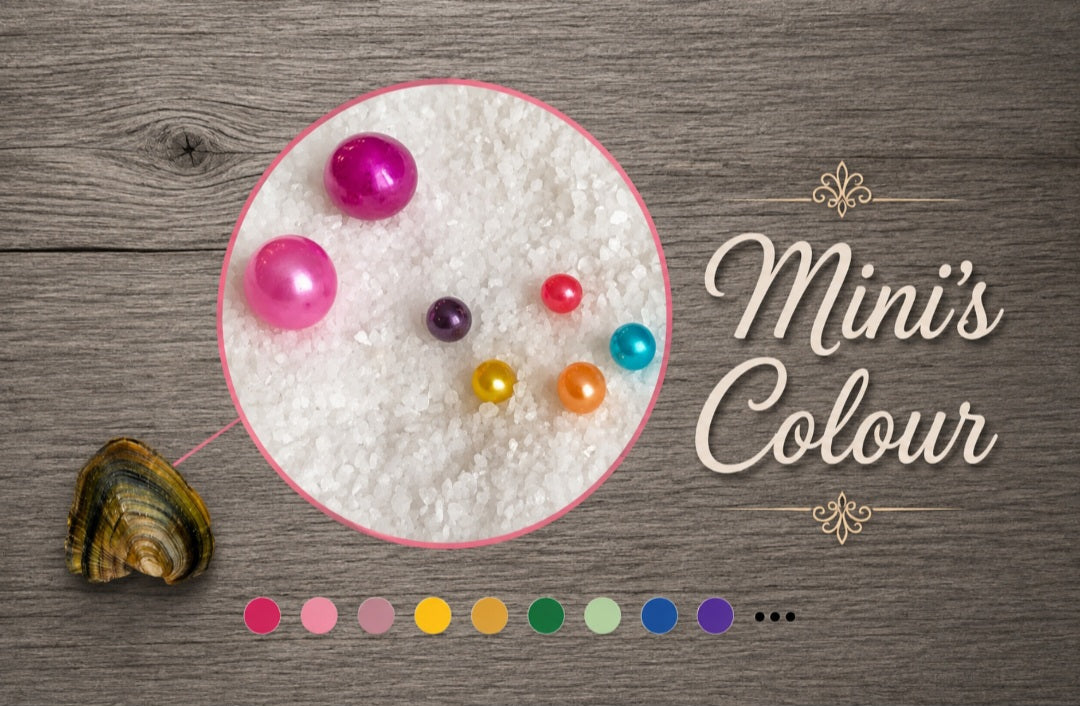 Mini Coloured Pearl Oyster