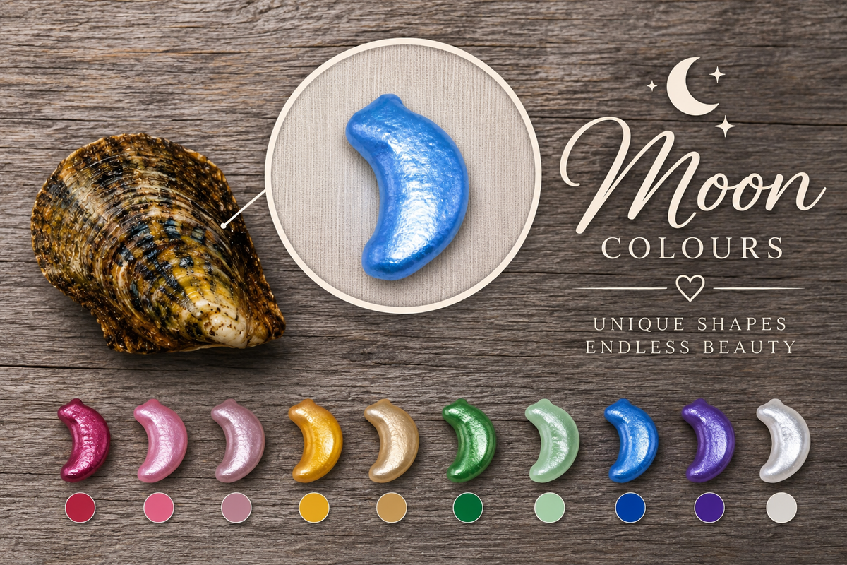 Moon Shaped Colour Pearl Oyster