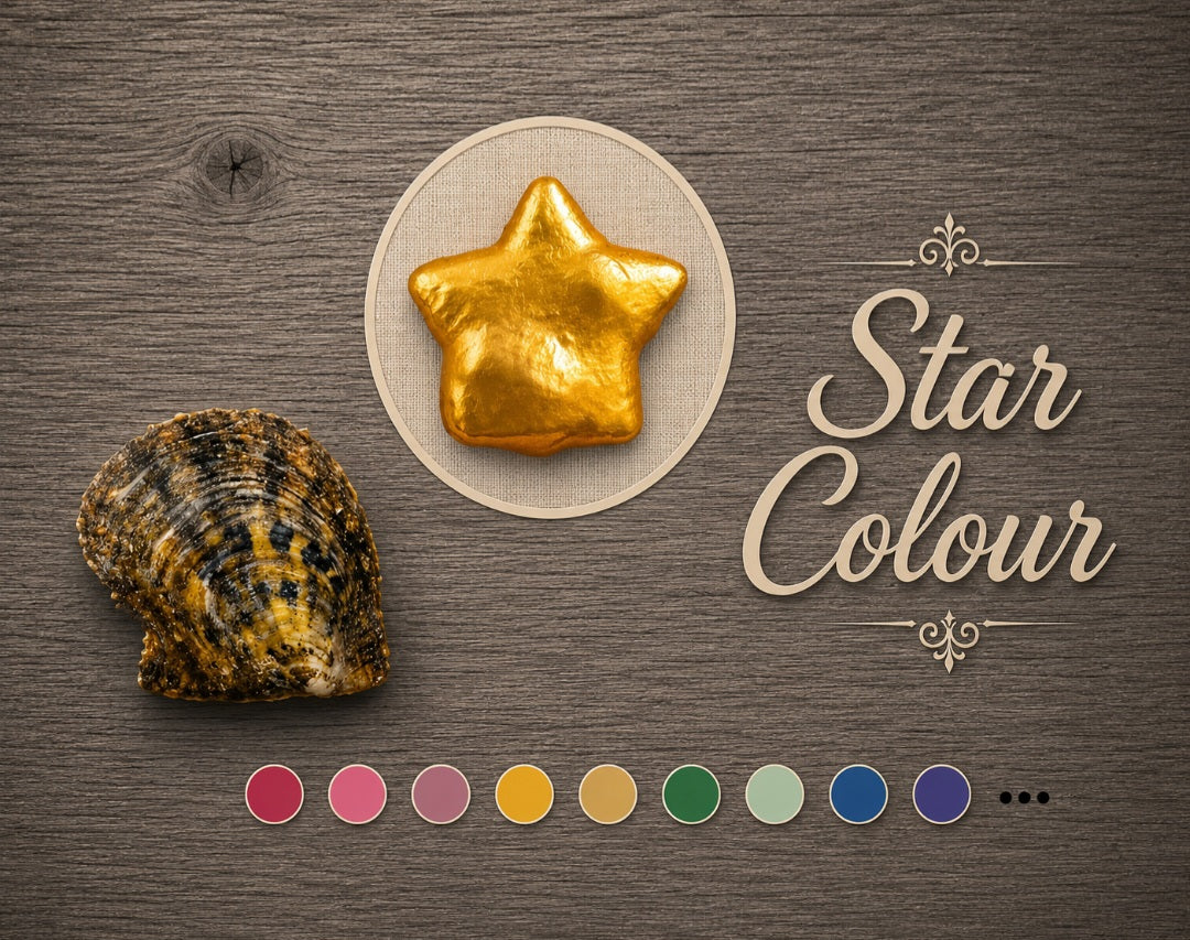 Star Shaped Coloured Pearl Oyster