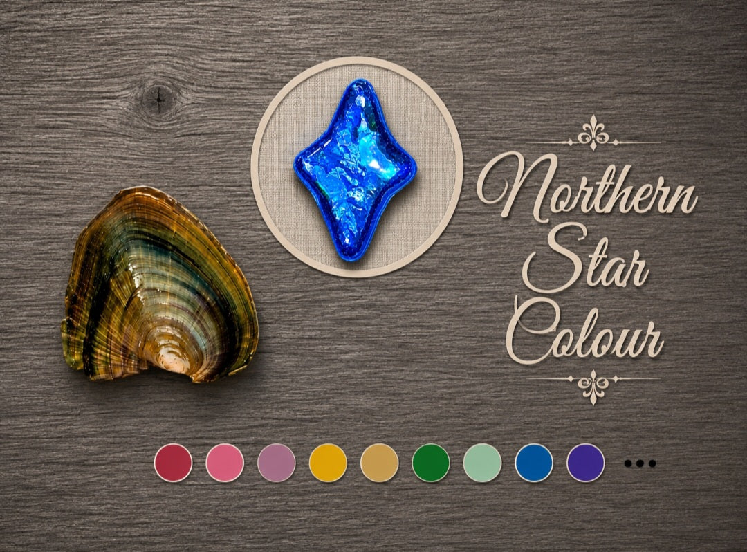 North Star Shaped Coloured Pearl Oyster