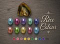 Rice Shaped Coloured Pearl Oyster