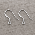 Hook Sterling Silver Earrings